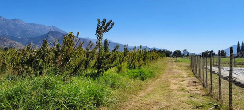 En Venta Parcela 10000m2 Graneros