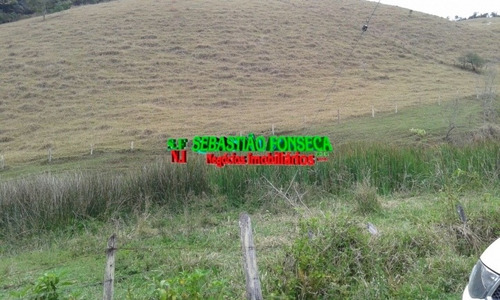 Imagem 15 de 15 de Fazenda Em Santa Branca 125 Alqueires - 805