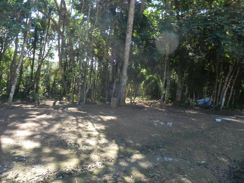 Ig A Hora É Agora! Terrenos Ibiúna