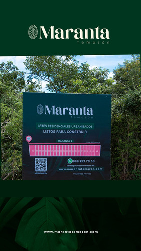 Lotes Residenciales Maranta En Venta Temozón Norte 