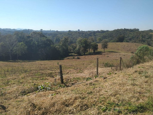 Imagem 12 de 30 de Chácara À Venda, 166375 M² Por R$ 4.000.000,00 - Costeira - São José Dos Pinhais/pr - Ch0081