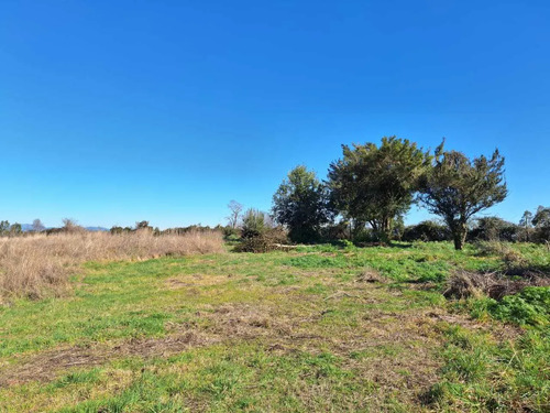 Terreno A Orilla De Camino! (177508)