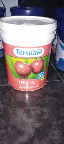 Pinturas Tersuave X20 Litros 