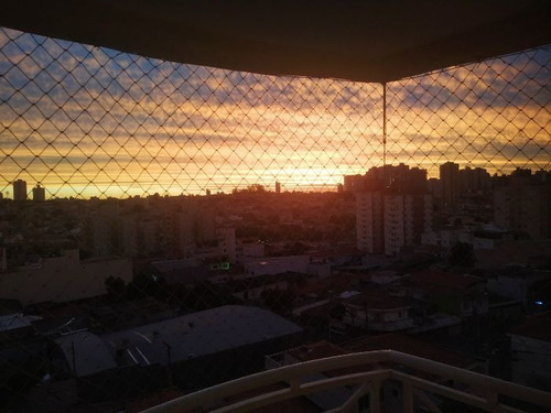 Apartamento À Venda Na Rua Oriente, Barcelona, São Caetano Do Sul - Sp - Liv-8084