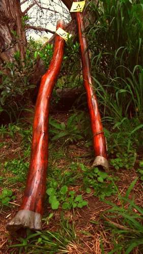 Imagen 10 de 10 de Didjeridoo Didgeridoo Original De Eucalipto Meditación Yoga
