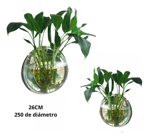 Maceta Colgante De Acrílico Transparente Pared 26cm