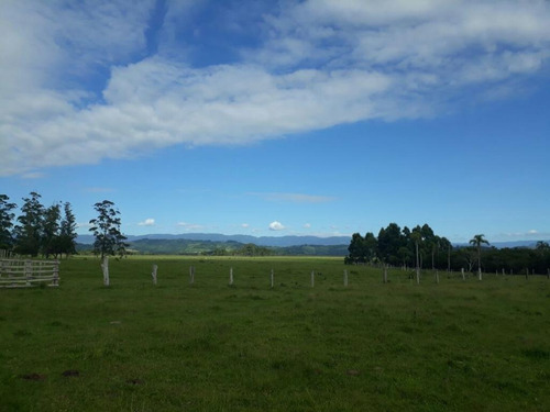 Imagem 16 de 18 de Fazenda À Venda, 63000 M² Por R$ 2.500.000,00 - Campo Bonito - Torres/rs - Fa0002