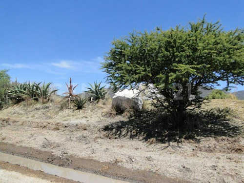Imagen 11 de 11 de A $351/m2 $ A Tratar .tiene Cisterna,bodega,cercado,a Pie Calle, Ref. Gracoil