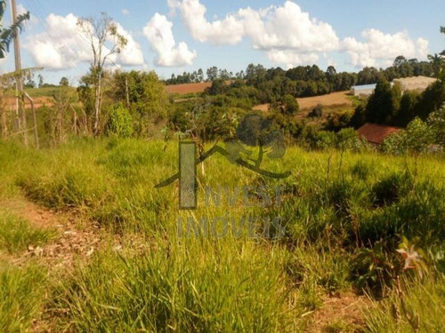 Imagem 3 de 4 de Cód 2644 - Terreno Com 3.800m² De Frente Para O Asfalto!! - 2644