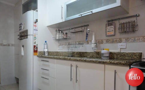 Imagem 23 de 23 de Comercial - Ref: 244690