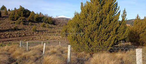 Imagen 19 de 26 de Susana Aravena Vende Lote En Meliquina