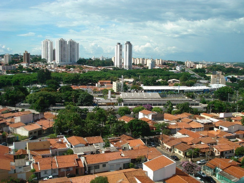 Imagem 9 de 30 de Sala Comercial, Sala Comercial No Cambui, - Sa00002 - 2422732