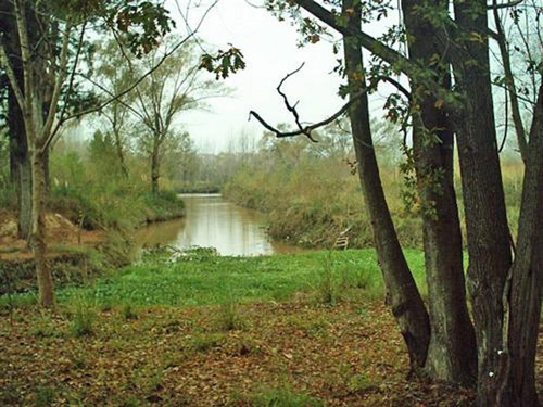 Imagen 2 de 3 de Campo En Venta