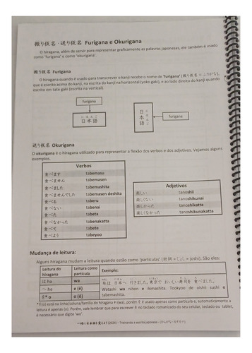 (em Dobro) 2 Livros: Caderno De Treino De Hiragana E Katakana