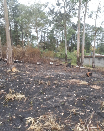 Imagem 10 de 12 de Terreno Água Azul - Guarulhos