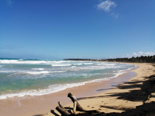 Vendo Terreno De 4.200 Metros Uvero Alto Bávaro Punta Cana
