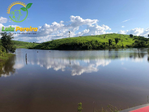 Imagem 6 de 15 de Fazenda À Venda Em Pacajá - Pa 692,12 Hectares - 2094