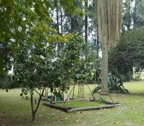 Quinta 1 Ha, Casa 3 Amb Y Caballeriza- Marcos Paz