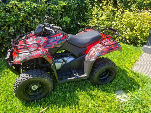 Arctic Cat Parrillero 300