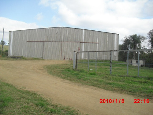 Imagem 4 de 9 de 6 Alqueires No Cupim