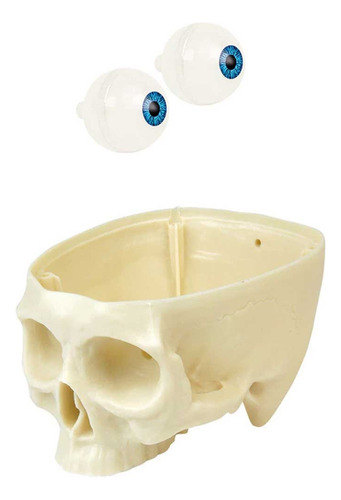 Como Funciona El Cuerpo Humano 01 Craneo Y Ojos, De Varios Es. Como Funciona El Cuerpo Humano Editorial Fasciculos Coleccionables (ff), Edición 1 En Español, 2025