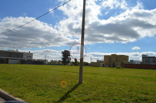 Imagen 27 de 30 de Terreno Lote En Venta Ubicado En Manuel B Gonnet, La Plata