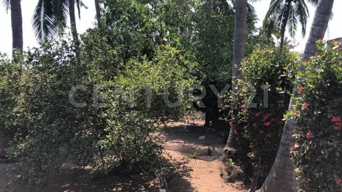 Imagen 7 de 16 de Terreno En Venta, La Huerta, Punta Pérula, Jalisco