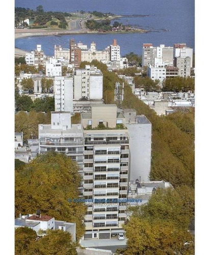 Apartamento Penthouse 2 Dormitorios En Venta En Parque Rodó
