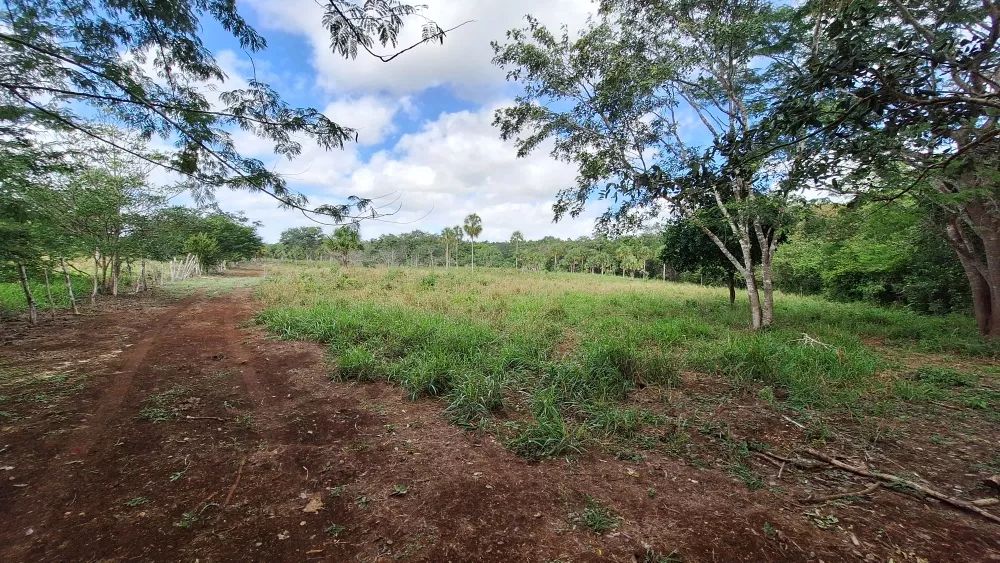 Rancho En Tizimin Yucatan. Ejido Tixcancal