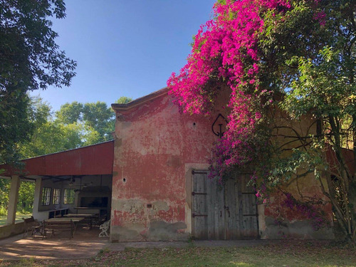 Imagen 7 de 30 de Venta - Campo Ernestina - 25 De Mayo - Rio Salado