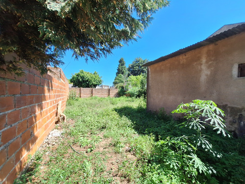 Excelente Oportunidad Amplio Terreno Con Monoambiente