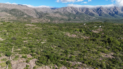Campo En Venta En Nono, Los Algarrobos