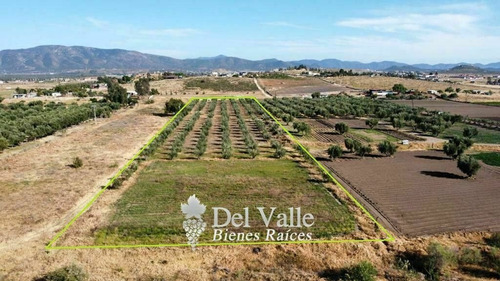 Imagen 4 de 7 de 2.8 Hectáreas Cerca De Vinícola El Cielo En Valle De Guadalu