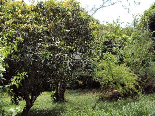 Imagem 21 de 24 de Sítio Com Lago, Ponte Alta, Jarinu - R$ 800 Mil, Cod: St012 - Vst012