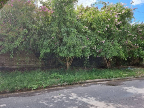 Imagen 7 de 8 de Venta. Lote En Esquina. 77 Y 116