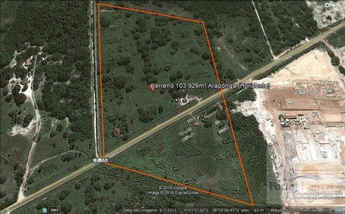 Imagem 8 de 8 de Terreno À Venda, 103929 M² Por R$ 1.039.290,00 - Novo Horizonte - Horizonte/ce - Te0115