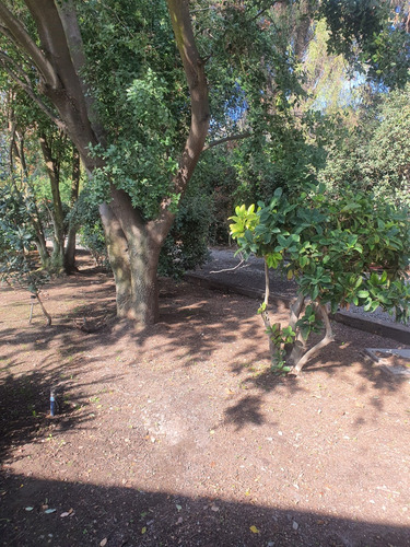 Casa Estilo Inglés En Venta 5 Hab 5 Baños -pozo Propio