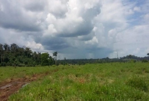Imagem 4 de 14 de Fazenda Com 101.000 Hectares No Norte Do Brasil