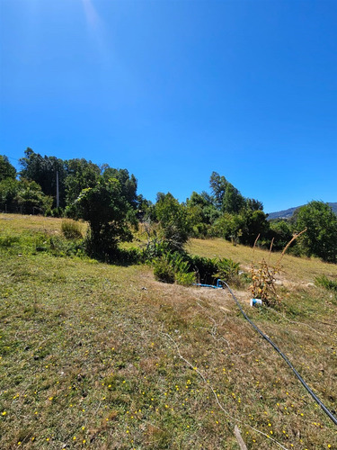 Parcela En Venta En Licanray - Panguipulli