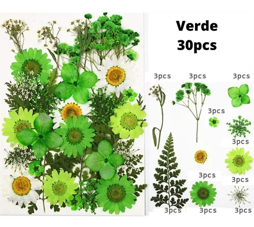 Naturaleza Muerta Para Uñas Flores Hojas Secas Decoración