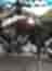 Imagem 8 de 8 de Xtz 250 Tenere Tenere Blueflex