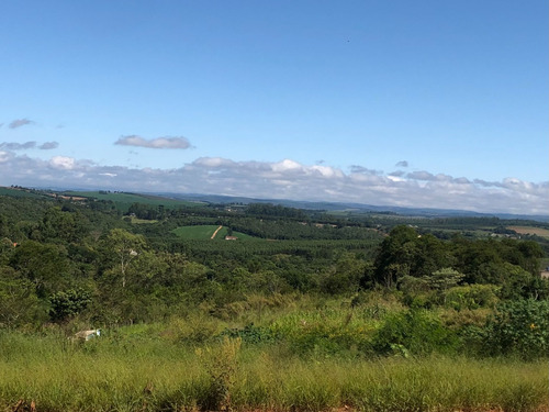 Terreno Com Mais De 1500 Metros, Pilar Do Sul