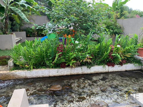 Imagen 8 de 30 de Terreno En Coatepec Veracruz Con Areas Comunes Y Privado