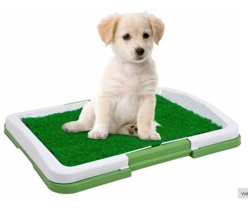 Tapete Grama Artificial Para Perros Cachorros 47 Cm