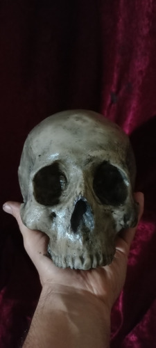 Craneo De Resina Replica Siniestraparanoia