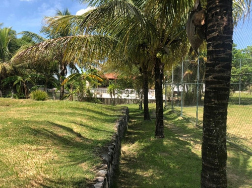 Imagem 29 de 30 de Chácara Em Granjas Mirassol (pachecos), Itaboraí/rj De 10000m² 3 Quartos À Venda Por R$ 990.000,00 - Ch1314298-s