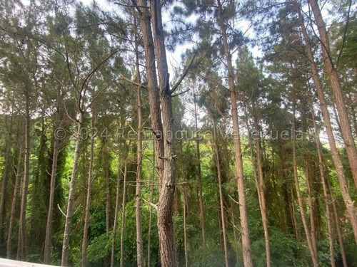 Hermoso Townhouse En Villa Nueva, El Hatillo - Mm