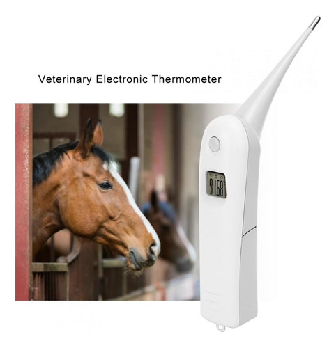Termómetro Electrónico Para Uso Veterinario En Vacas Y Más