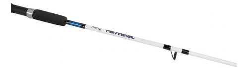 Vara Saint Pantanal 1802-sp 30-60lbs 1,80m 2 Partes