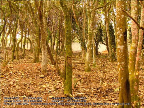 Imagem 12 de 30 de Terreno Para Venda, 0.0 M2, Chácaras Do Peroba - Jandira - 3155